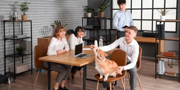  A dog on a chair in an office. 